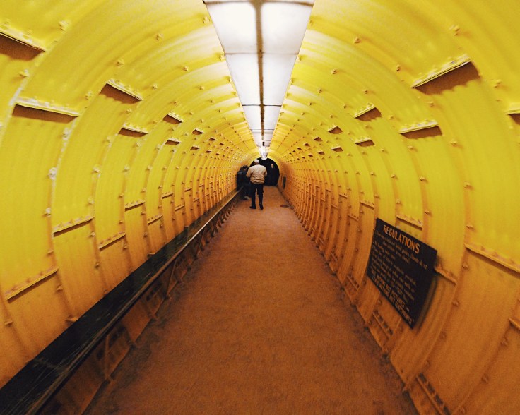 Processed with VSCO with c2 preset